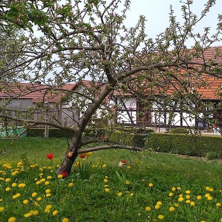 Pension Toepferhof バート・ベルカ エクステリア 写真