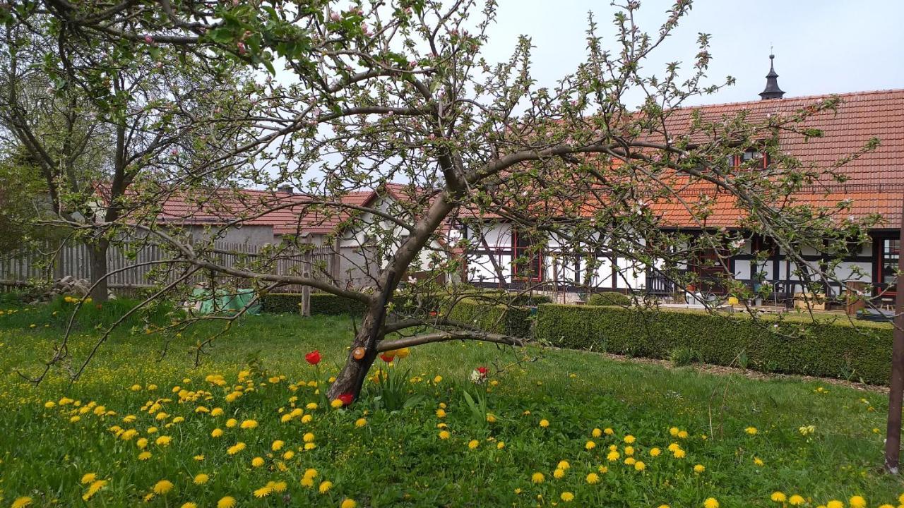 Pension Toepferhof バート・ベルカ エクステリア 写真