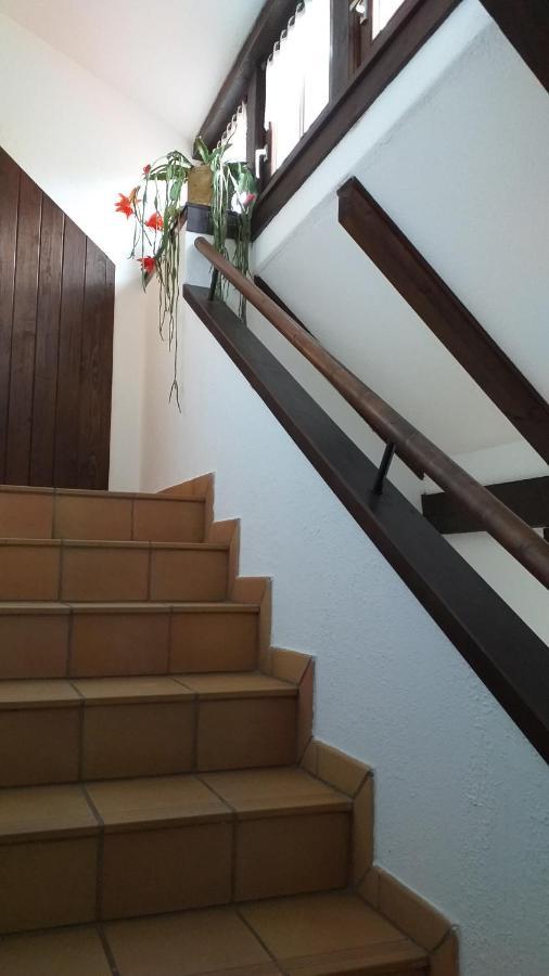 Pension Toepferhof バート・ベルカ エクステリア 写真